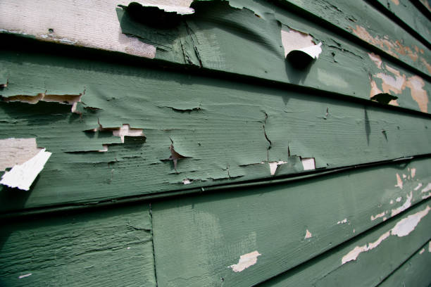 Trusted Wasco, CA Siding Installation & Repair Experts